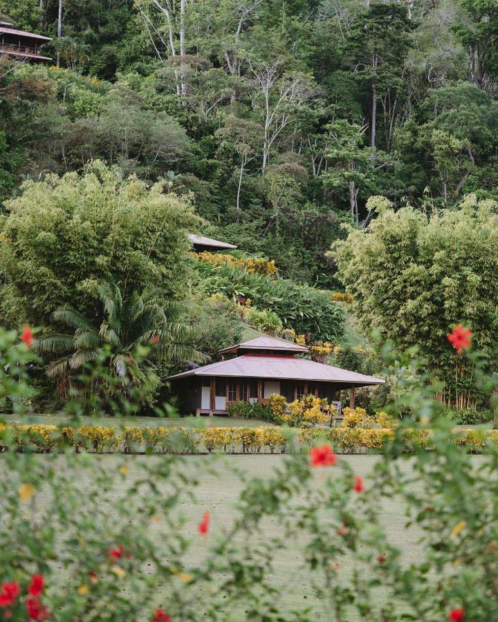 Kunken Boutique Hotel & Spa Sierpe Luaran gambar